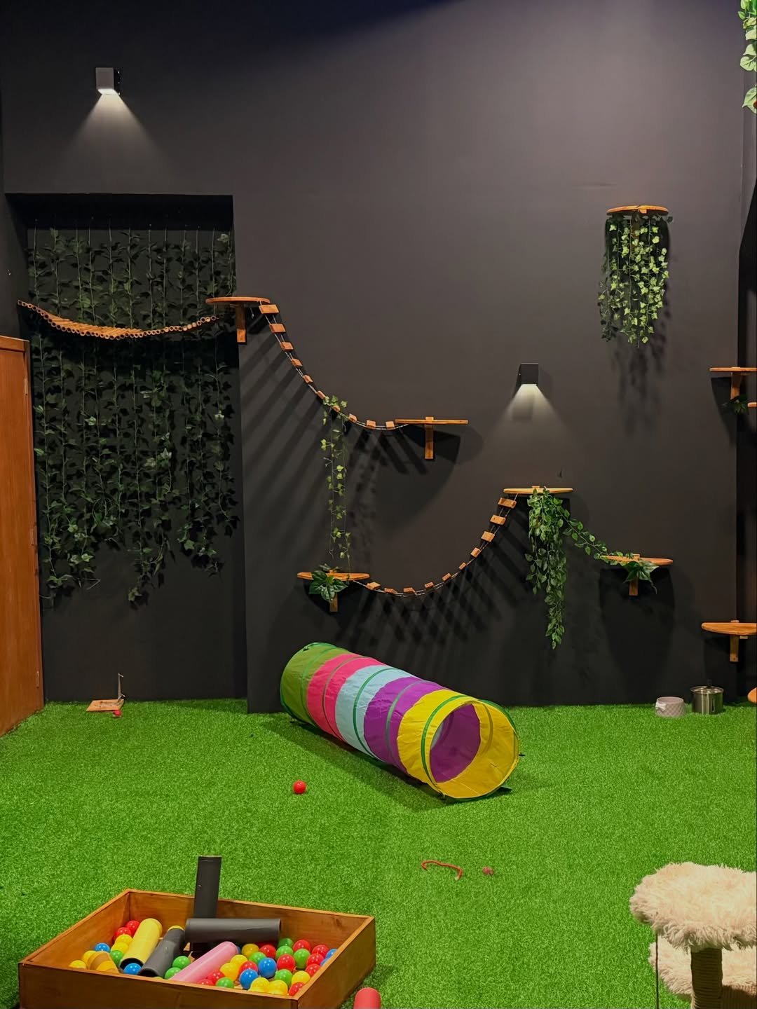 Área de brinquedos felinos Resort Animal
